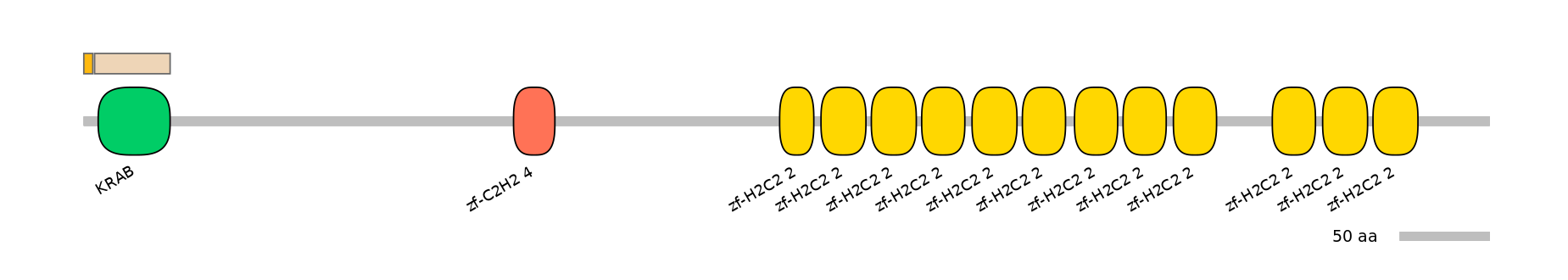HsaINT0188397-EXC