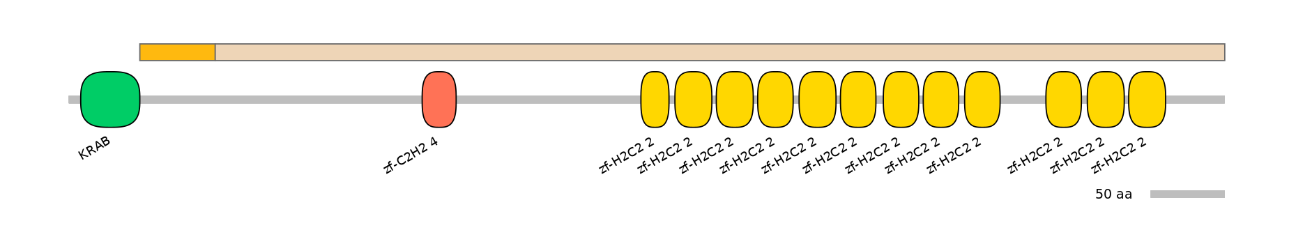 HsaINT0188399-EXC
