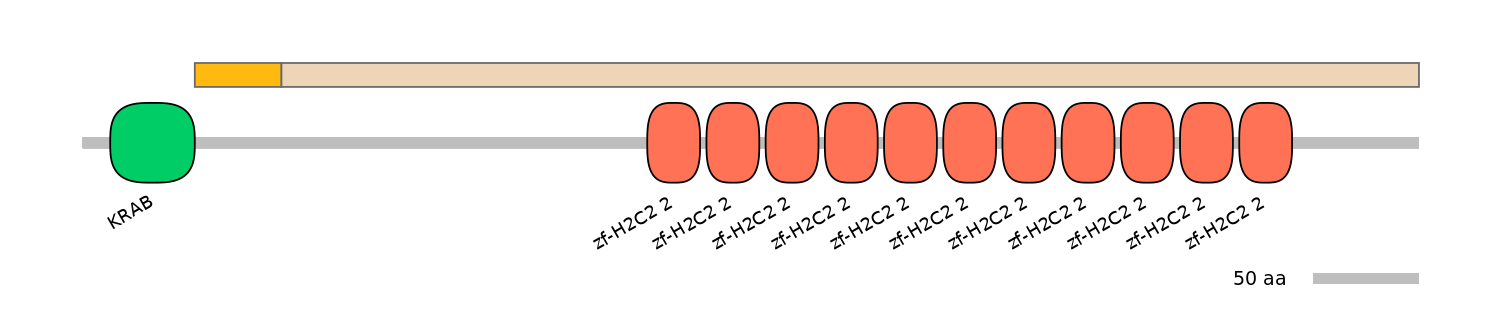 HsaINT0188422-EXC