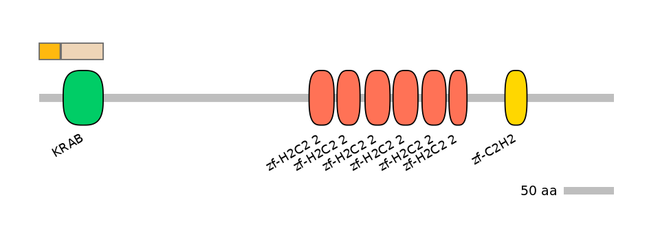 HsaINT0188433-EXC