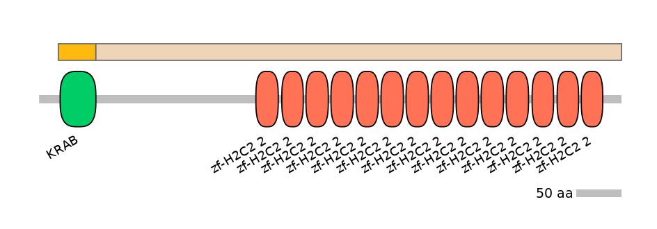 HsaINT0188473-EXC