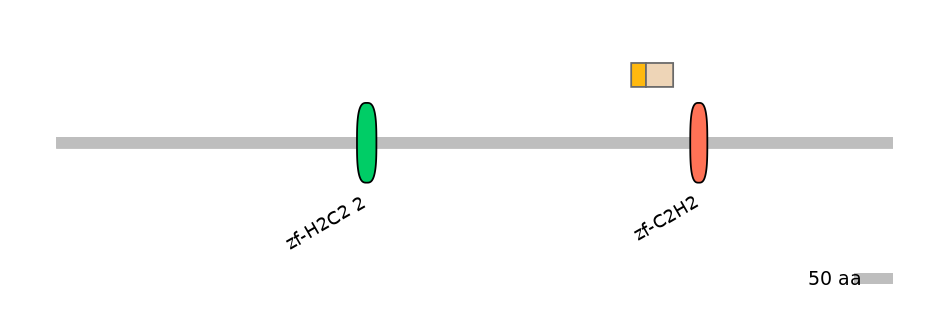 HsaINT0188494-EXC