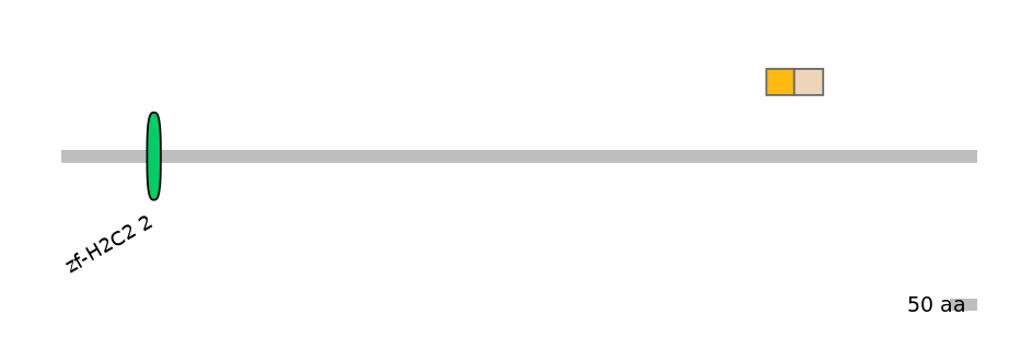 HsaINT0188516-EXC