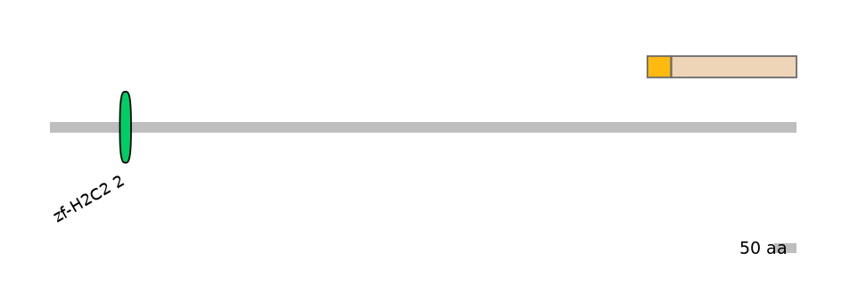 HsaINT0188517-EXC