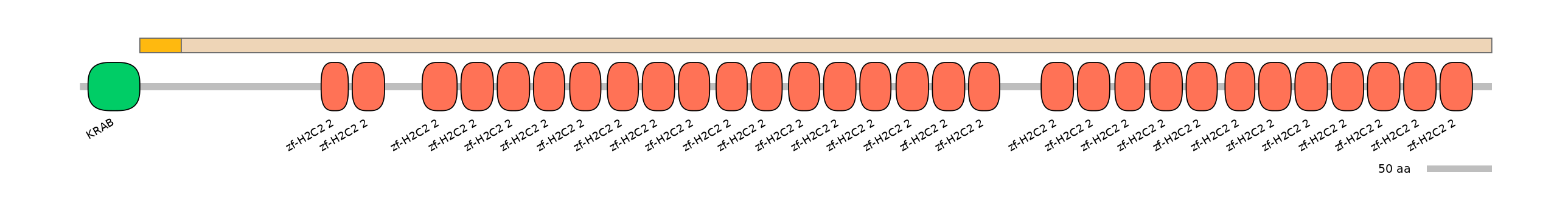 HsaINT0188560-EXC