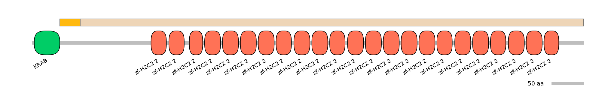 HsaINT0188610-EXC