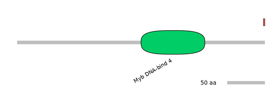 HsaINT0188831-INC