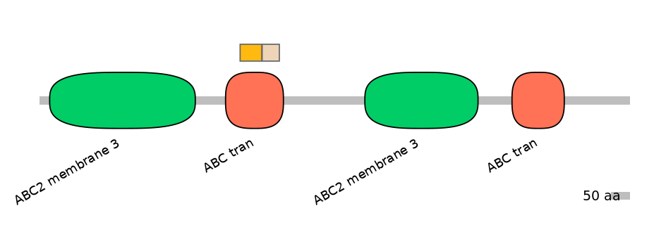 HsaINT1000133-EXC