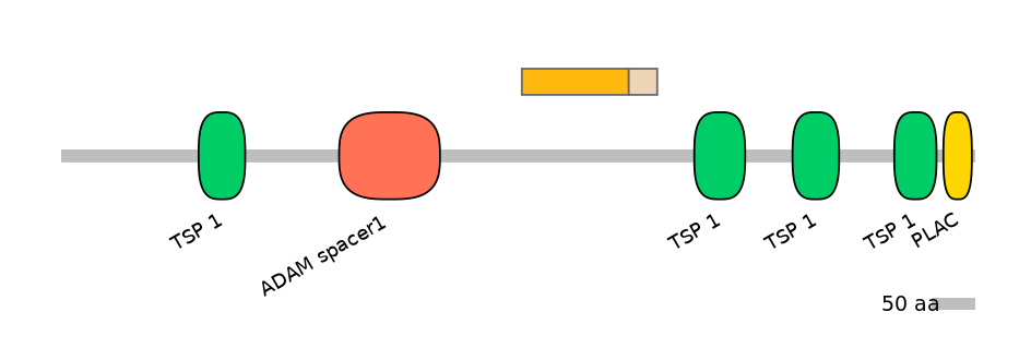HsaINT1002809-EXC