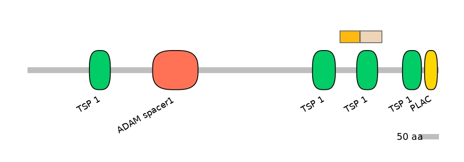 HsaINT1002813-EXC