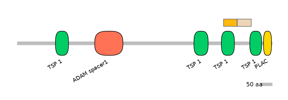 HsaINT1002814-EXC