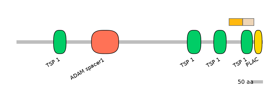 HsaINT1002815-EXC