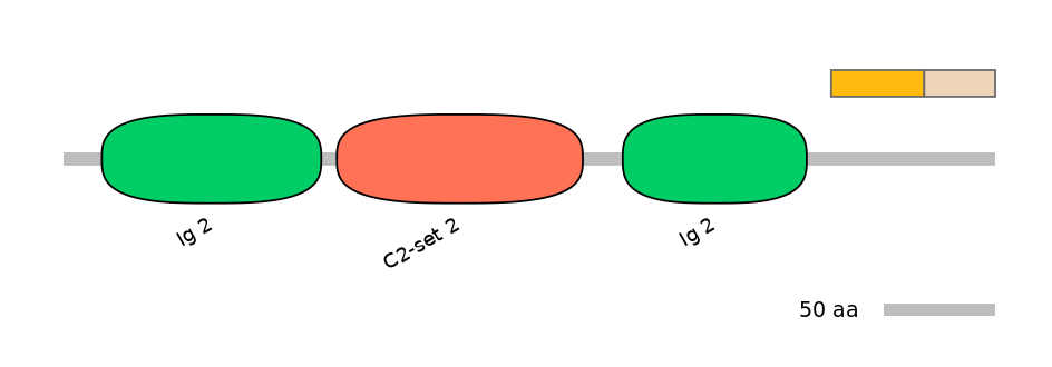 HsaINT1003170-EXC
