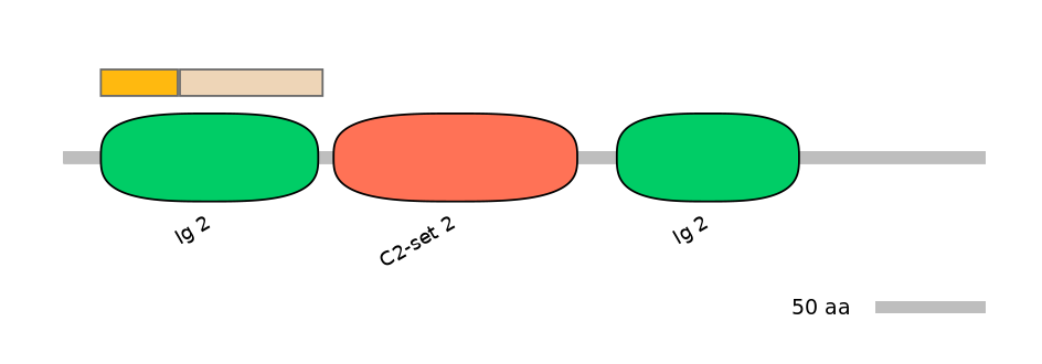 HsaINT1003171-EXC