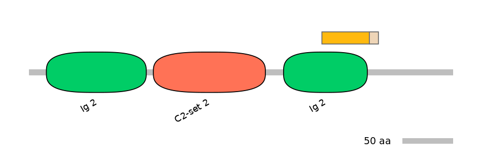 HsaINT1003177-EXC