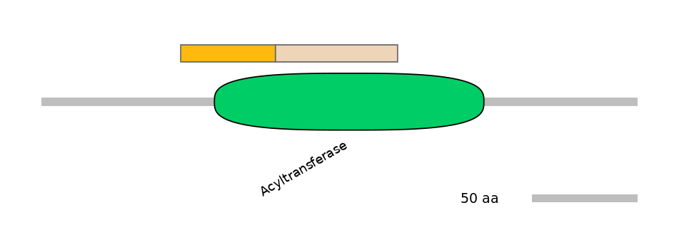 HsaINT1003186-EXC