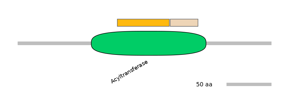 HsaINT1003187-EXC