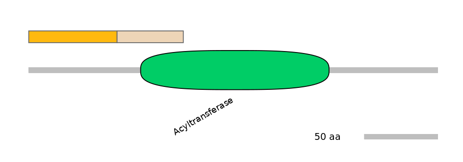 HsaINT1003190-EXC