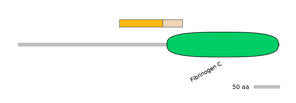 HsaINT1003628-EXC