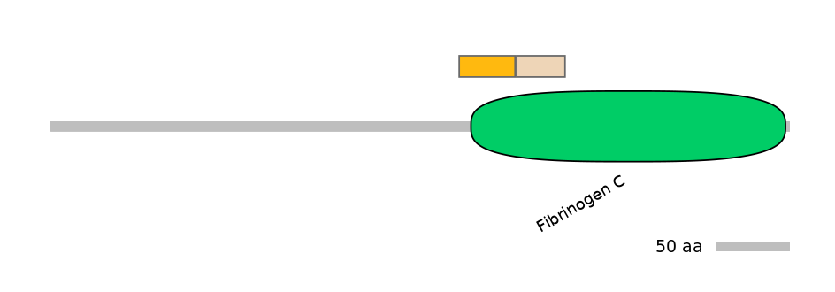 HsaINT1003629-EXC