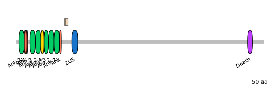 HsaINT1003645-EXC