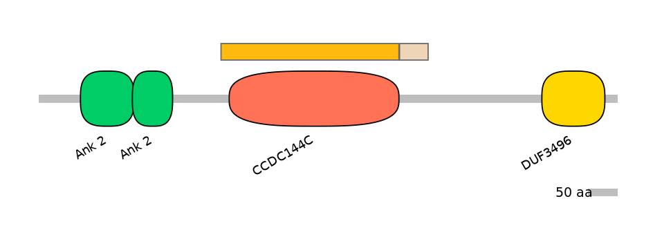 HsaINT1003700-EXC
