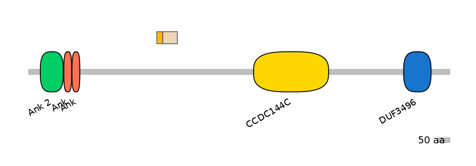 HsaINT1003704-EXC