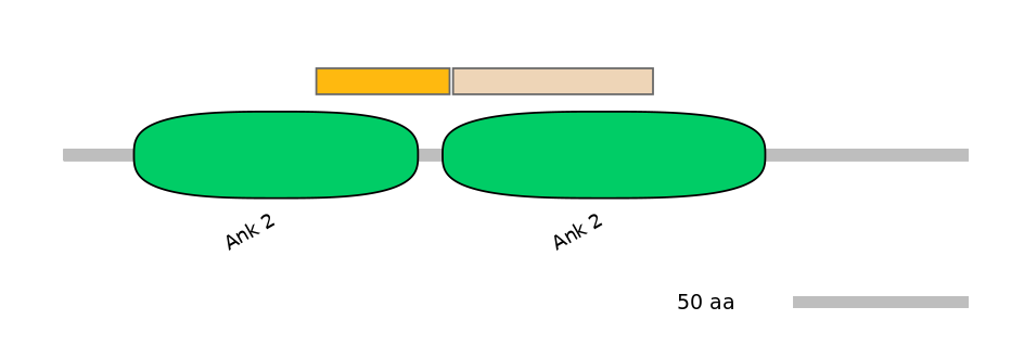 HsaINT1003733-EXC