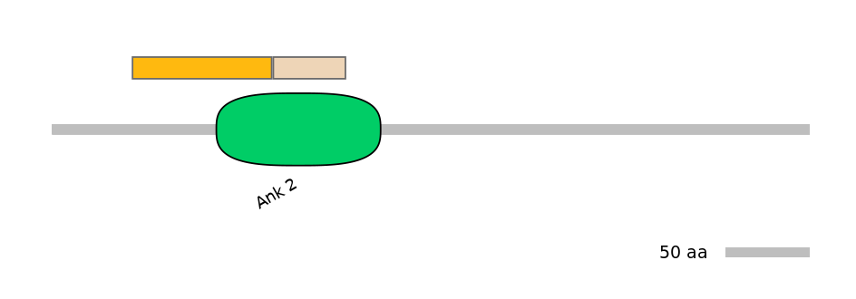 HsaINT1003748-EXC