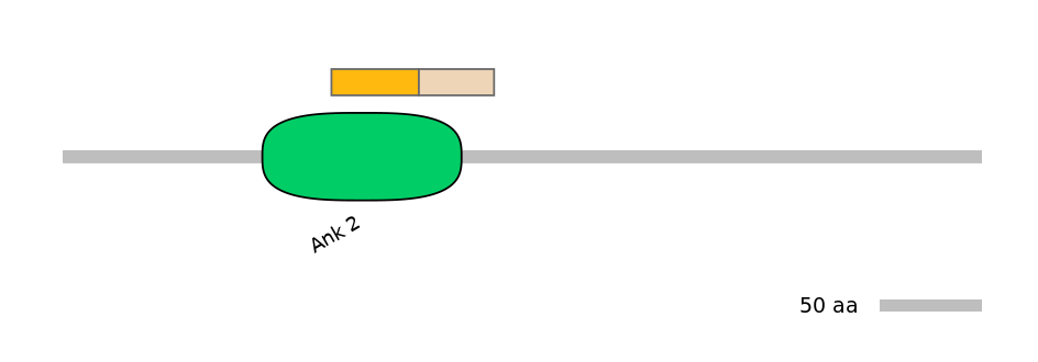 HsaINT1003749-EXC