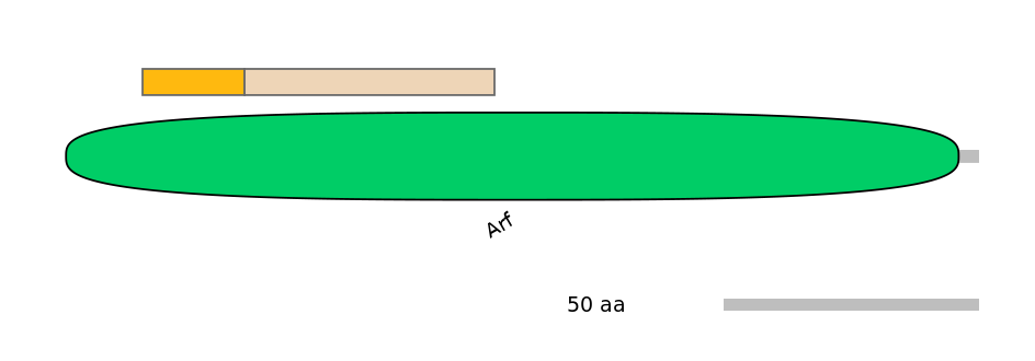 HsaINT1004470-EXC
