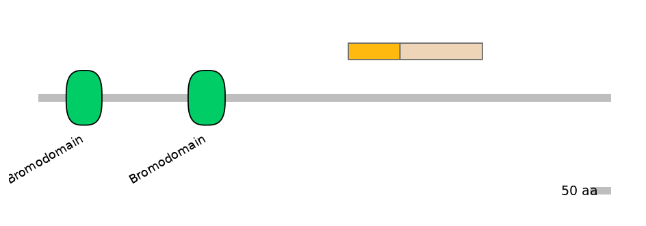 HsaINT1005397-EXC