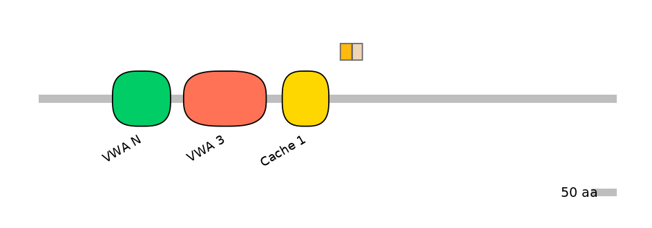 HsaINT1006187-EXC