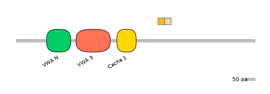 HsaINT1006192-EXC