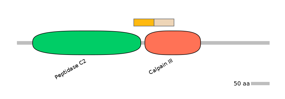 HsaINT1006303-EXC