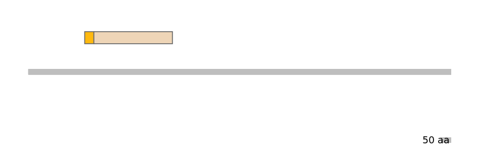 HsaINT1006595-EXC