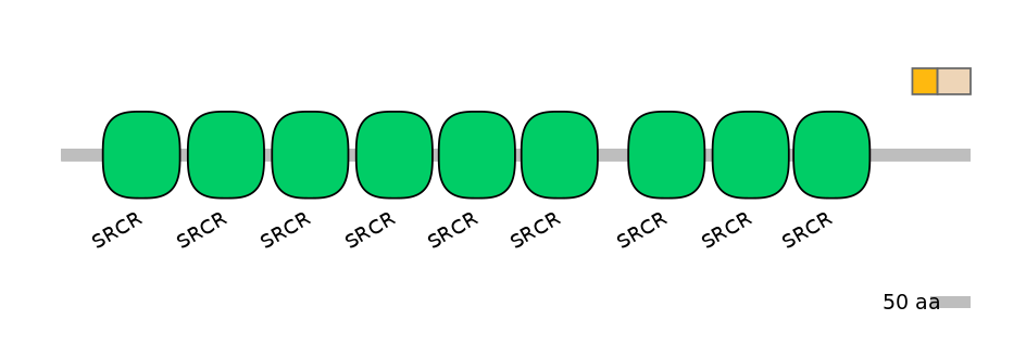 HsaINT1006798-EXC