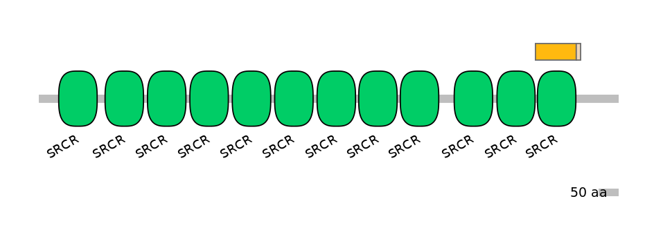 HsaINT1006799-EXC