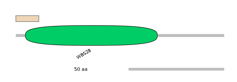 HsaINT1006799-INC