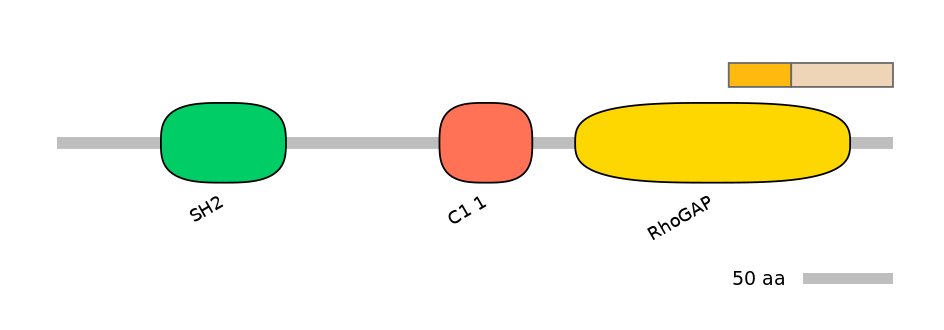 HsaINT1007649-EXC