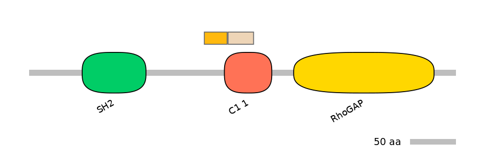 HsaINT1007651-EXC