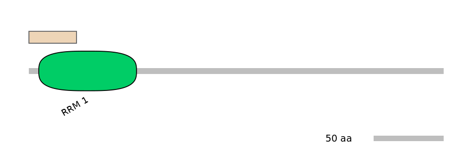 HsaINT1007725-INC