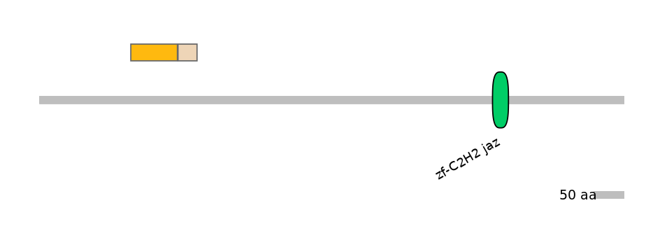 HsaINT1007743-EXC