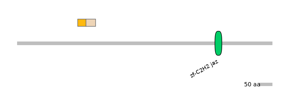 HsaINT1007744-EXC