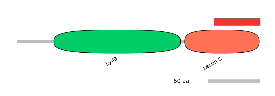 HsaINT1007795-INC