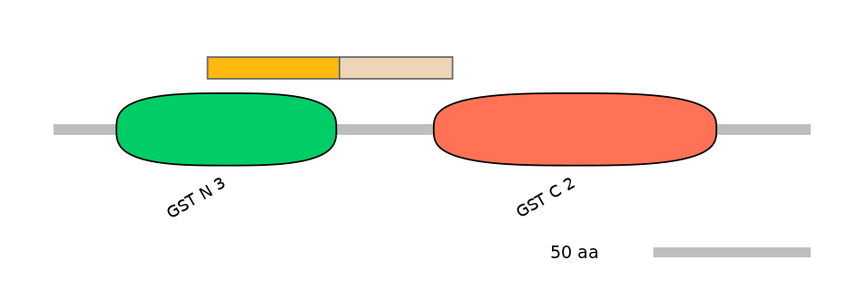 HsaINT1007844-EXC