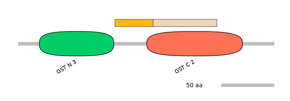 HsaINT1007845-EXC