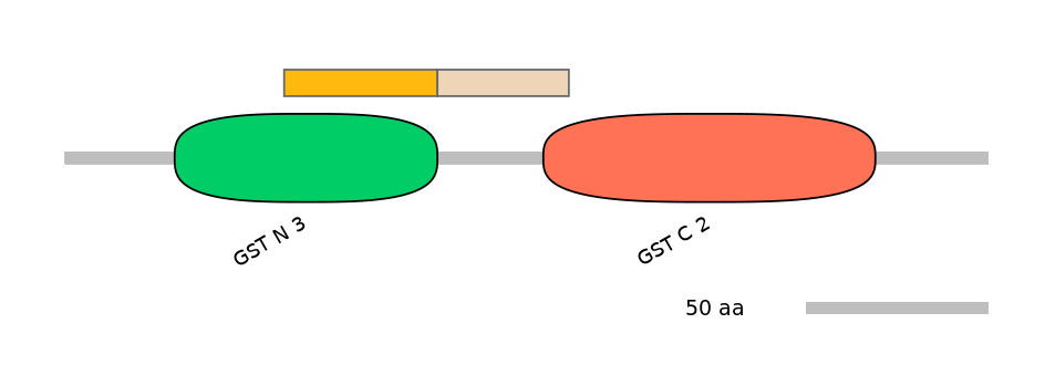 HsaINT1007847-EXC