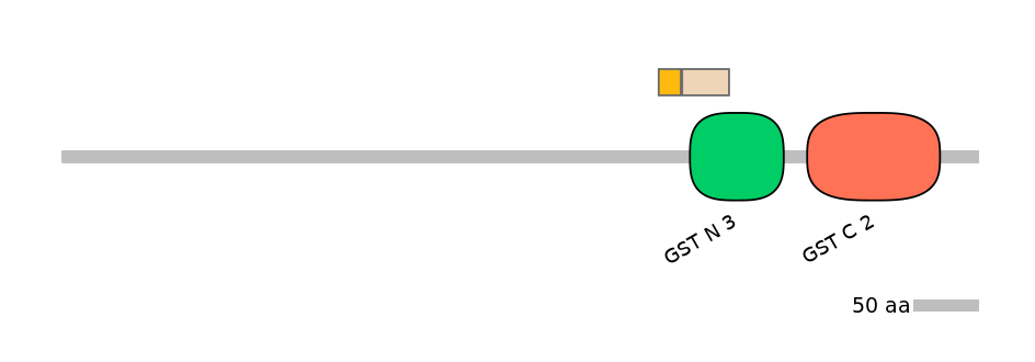 HsaINT1007851-EXC