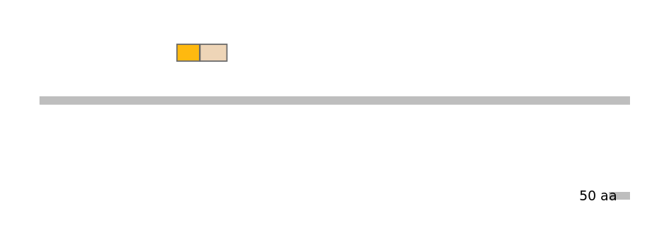 HsaINT1007996-EXC